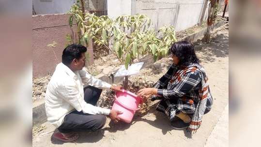 चला, झाडांच्या जखमाही भरू या!