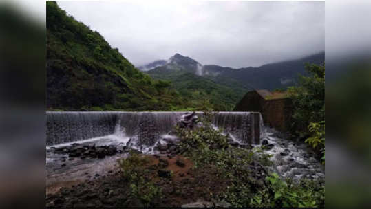 रत्नागिरी: तिवरे धरण फुटले, २४ जण बेपत्ता, ७ ठार