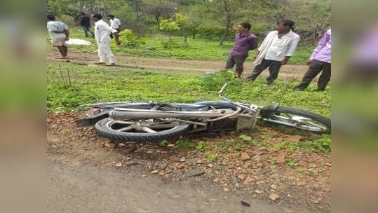 ट्रकच्या धडकेत दाम्पत्य ठार