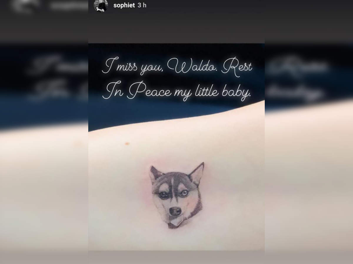 Joe Jonas New Tattoo Priyanka Chopra क ज ठ ज ठ न न ह थ पर बनव य अपन ड ग क च हर Sophie Turner Joe Jonas Shared Tattoo Pic That They Got In The Memory Of Their