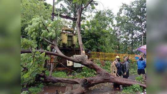 महावितरणची व्यवस्था कोलमडली