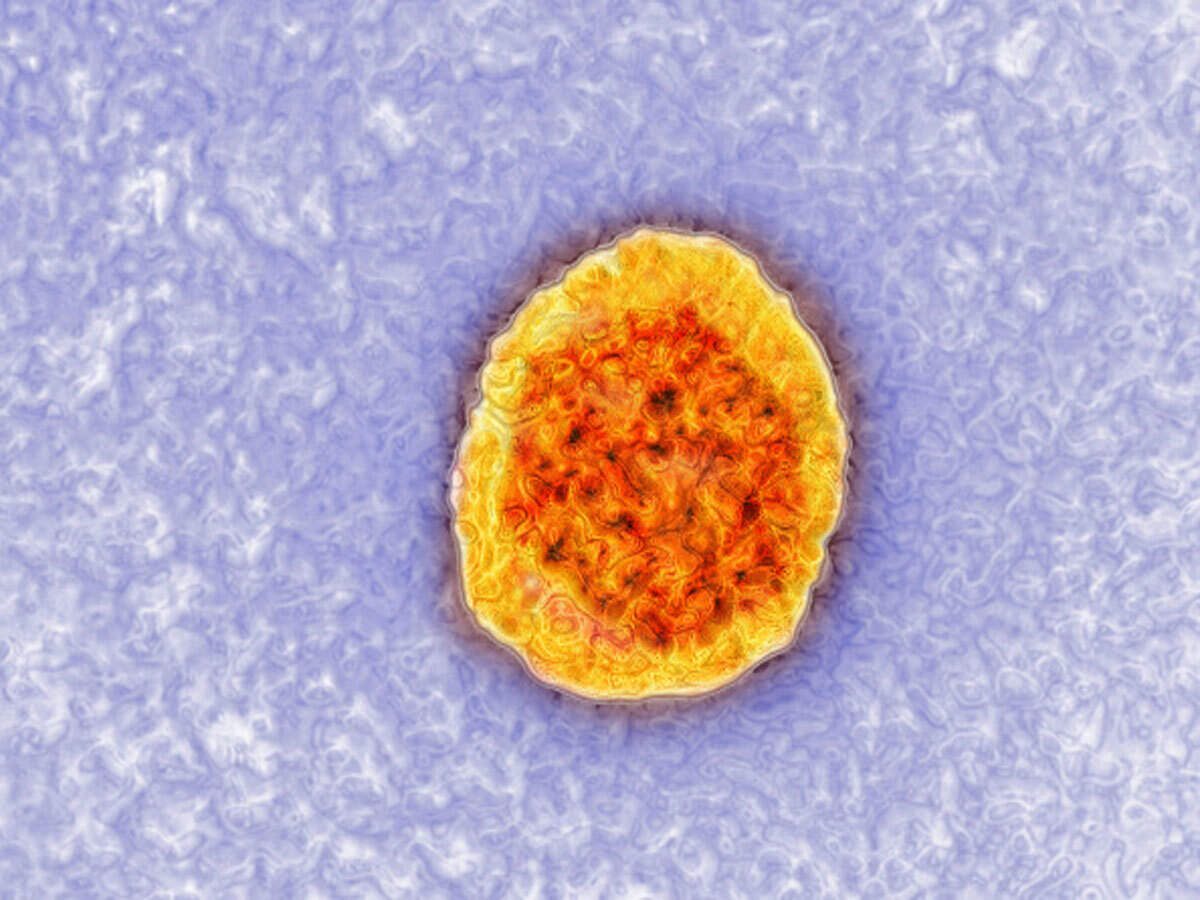 magas vérnyomás hepatitis C