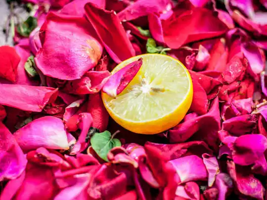  नींबू और गुलाब जल
