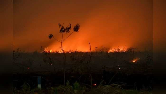 This picture taken on September 9, 2019 shows a forest fire lighting up the night sky in Kampar, Riau. - Huge fires are raging across vast swathes of Indonesia's rainforests -- some of the world's biggest -- with toxic smog shutting hundreds of schools in Southeast Asia, officials said on September 10. (Photo by Wahyudi / AFP)