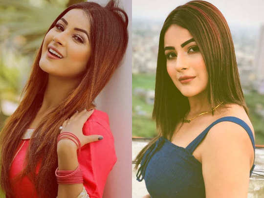 Who is Shehnaz gill: shehnaz kaur gill age, family, Photos - Shehnaz gill  kaun hai, बिग बॉस 13 कन्टेस्टेंट शहनाज गिल के बारे में&quot; - Navbharat Times