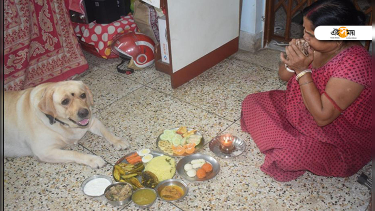 Pet Dogs Baby Shower ঘর র ম য গর ভবত প র ণভর প ষ য চ ন ক স ধ দ ল ন পর জনর Pet Dog Going To Become Mother Tollygunge Family Arranges Babyshower Eisamay