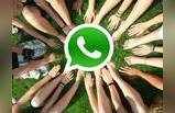 WhatsApp க்ரூப்பில் புதிய Privacy Setting இணைப்பு; இனிமேல் அது நடக்காது ராஜா!