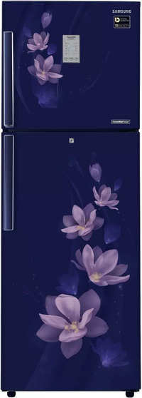 Samsung 275 L 4 Star Frost Free Double Door Refrigerator RT30M3954U7HL Magnolia Blue