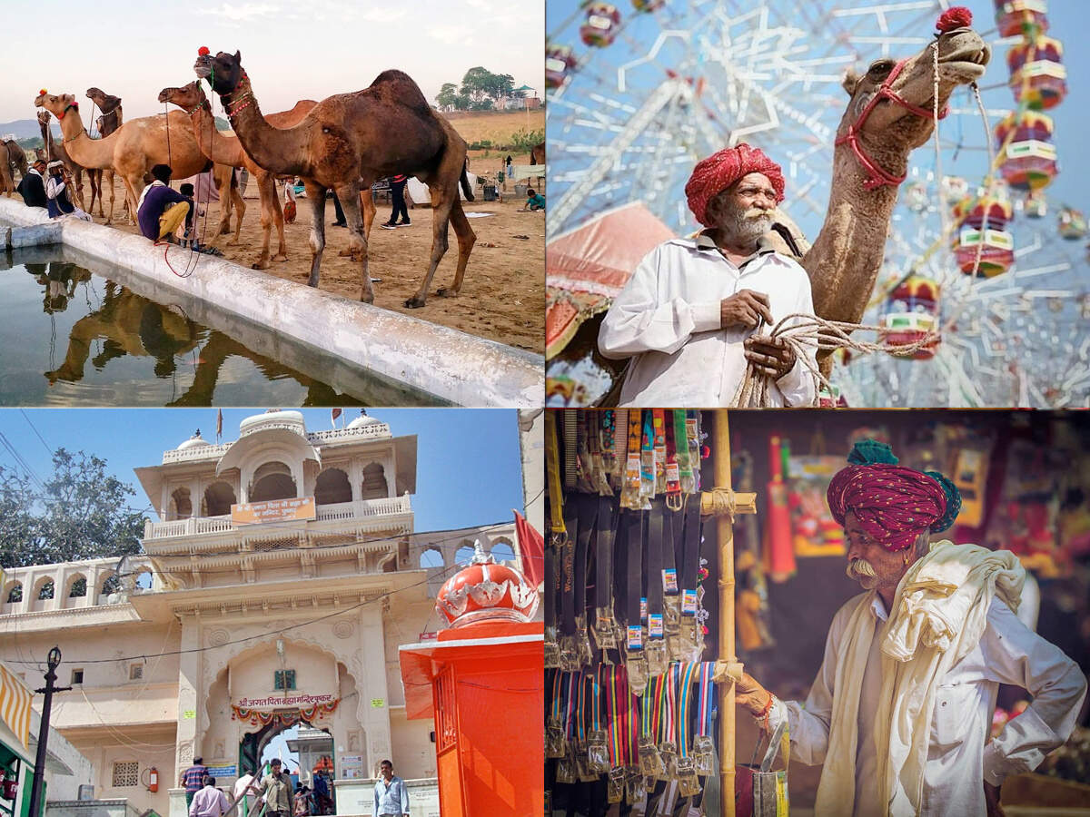 pushkar camel fair 2019: राजस्थान की संस्कृति को जानना चाहते हैं तो पुष्कर  मेला आएं - pushkar mela 2019 worlds largest camel fair | Navbharat Times