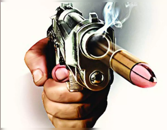 man shoots wife hisar: पत्नी से बहस के बाद चली गोली से भतीजी की मौत, खुद को मारा, 3 अन्य घायल - after marital discord man shot family members commits suicide in