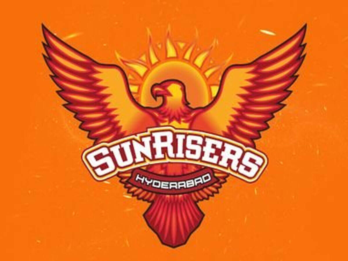 SRH Squad 2020: SRH List: आईपीएल 2020 में यह होगी सनराइजर्स हैदराबाद की  पूरी टीम - Sunrisers Hyderabad Team Players List 2020 | Navbharat Times