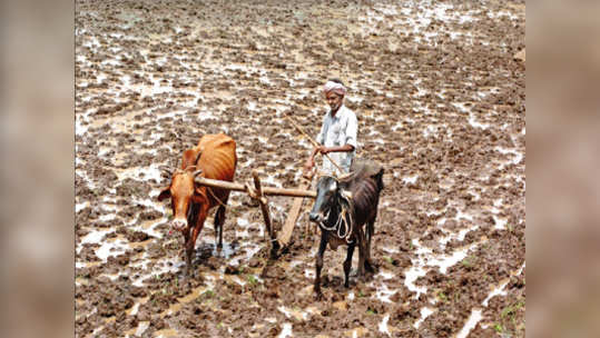 मंदीतून बाहेर पडण्याचा मार्ग शेतीतून जातो...