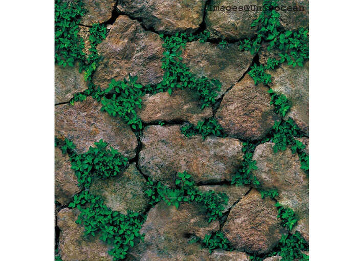Modern Stone Green Plant Wallpaper, Wall Poster, Wall Sticker, Modern Stone Green Plant Wallpaper, Wall Poster, Wall Sticker,