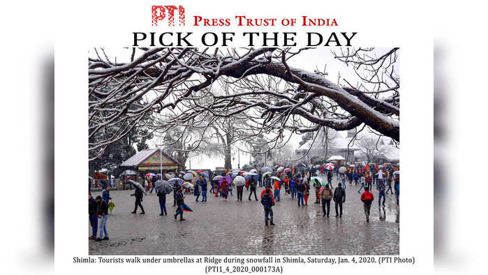 EDS PLS TAKE NOTE OF THIS PTI PICK OF THE DAY:::::::: Shimla: Tourists walk under umbrellas at Ridge during snowfall in Shimla, Saturday, Jan. 4, 2020. (PTI Photo)  (PTI1_4_2020_000173A)(PTI1_4_2020_000194A)