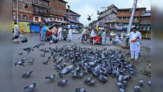 दहशतवादाकडे वळणाऱ्या युवकांची संख्या घटली