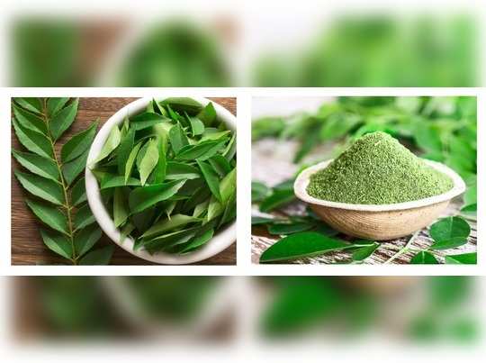 benefits of curry leaves: கறிவேப்பிலை : உடம்புல இருக்கிற எல்லா நோயும்  தெறிச்சு ஓடுமாமே.. - amazing health benefits of curry leaves | Samayam Tamil