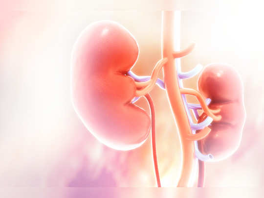 world kidney day 2021: ಈ ಲಕ್ಷಣಗಳು ಕಾಣಿಸಿಕೊಂಡರೆ 'ಕಿಡ್ನಿ ಸ್ಟೋನ್‌' ಆಗಿದೆ  ಎಂದರ್ಥ! - Vijaya Karnataka
