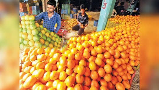 करोनामुळे संत्र्यांची मागणी वाढली, संत्र्याने वाढते रोगप्रतिकारक शक्ती