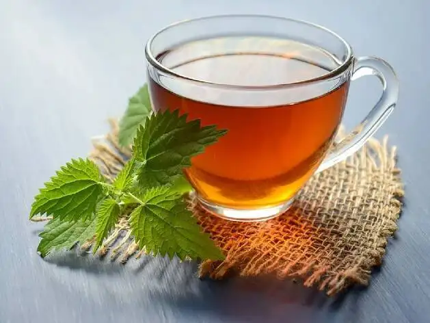 1 Glass Drink Of Basil Leaves boost immune system - इन ...