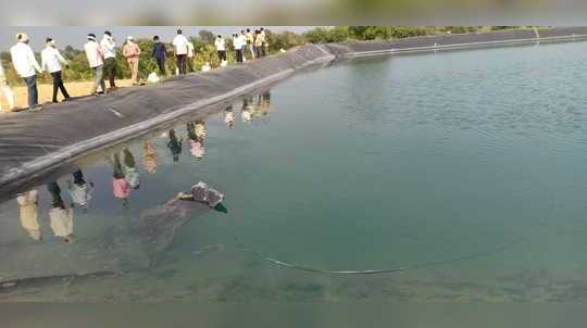 शेततळळ्यात बुडून ४ मुलांसह पाच जणांचा मृत्यू