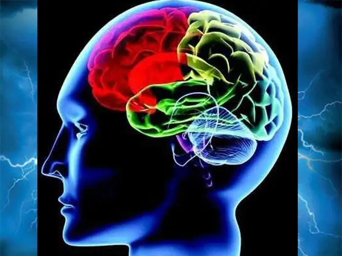 what is brain dead condition and difference between coma and brain dead in hindi