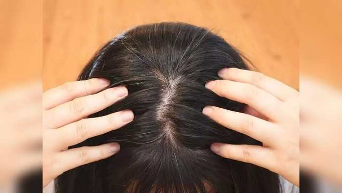 Hair Care Tips : खरंच पांढरा केस काढल्यानं सर्वच केस पांढरे होतात? जाणून घ्या सत्य आणि खोटे