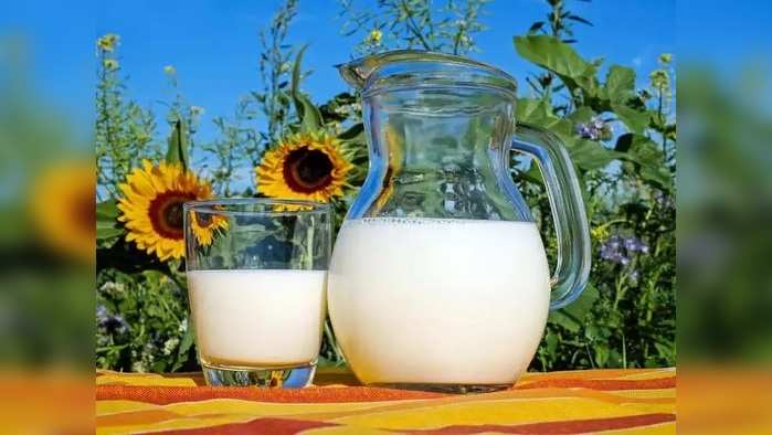 Best Time For Milk: आयुर्वेदानुसार ही आहे दूध पिण्याची योग्य वेळ आणि पद्धत