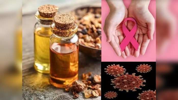 Myrrh Oil Benefits: कॅन्सर व्यतिरिक्त या ६ आजारांवर गुणकारी ठरते हिरड्याचे तेल!