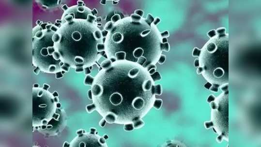 Coronavirus Update: करोनाला हरवायचंय? त्यासाठी'व्हिटॅमिन डी' एवढे आहे महत्त्वाचे