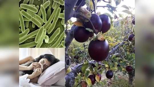 Health Benefits Of Black Apple : काळ्या सफरचंदाचे करा सेवन, मिळेल निरोगी आरोग्य