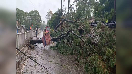 LIVE : पश्चिम बंगालच्या किनाऱ्यांना 'अम्फान' महाचक्रीवादळ धडकलं