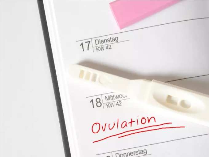 Ovulation क्‍या है और कब होती है इस पीरियड की शुरुआत - Navbharat Times