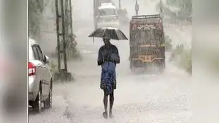 malayalam.samayam.com