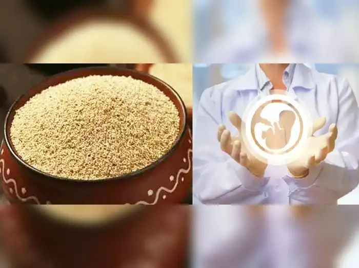 அலங்காரத்துக்கென்று பயன்படுத்தப்படும் பாப்பி மலரின் செடி