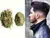 Black Hair Tips : पुरुष बालों को काला करने के लिए भृंगराज का करें इस्तेमाल, 2 हफ्ते में दिखने लगेगा असर 