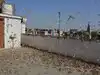 टिड्डियों को भगाने के लिए बज रहा थाली, ढोल-नगाड़े, चलाया जा रहा बिना साइलेंसर वाला ट्रैक्टर 
