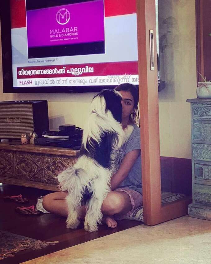 malayalam.samayam.com malayalam.samayam.com
