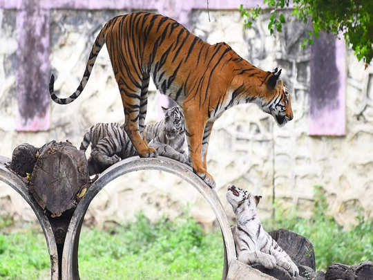 Aurangabad-Zoo