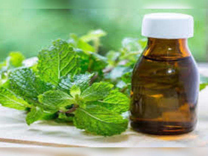 mentha oil