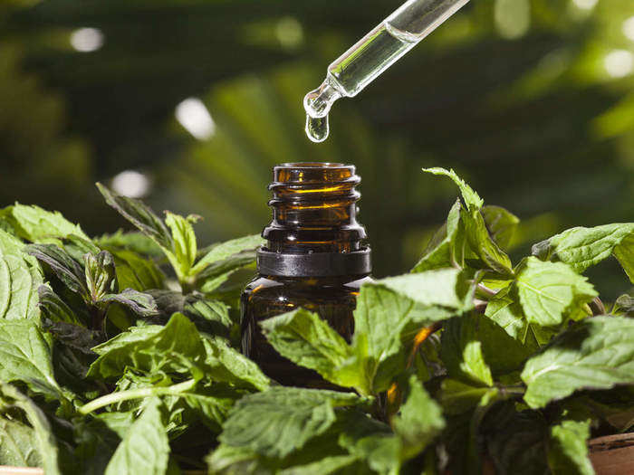 mentha oil rate