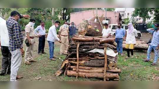 ओढरे शिवारात मृतावस्थेत आढळला बिबट्या