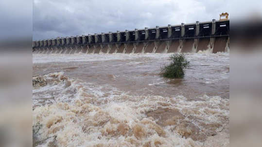 विस्थापितांचे पुनर्वसन करा; कोयना धरणग्रस्तांच जेवण बंद आंदोलन