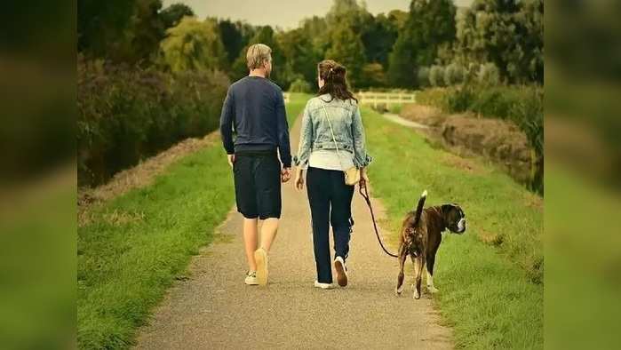 Benefits Of Walking : सकाळी व संध्याकाळी चालायला जाण्याचे हे आहेत अद्भूत फायदे