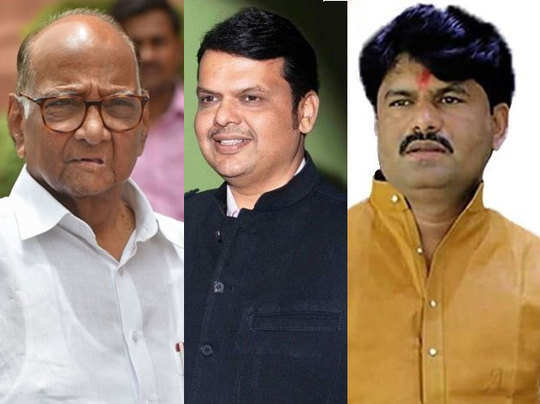 padalkar-pawar-fadnavis