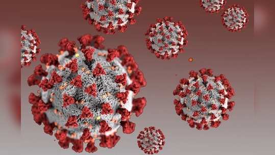 Coronavirus  WHOशोधणार करोनाचे उगमस्थान! पुढील आठवड्यात चीनमध्ये जाणार