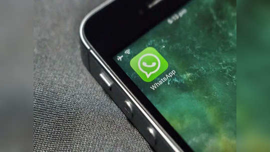 WhatsApp आता आणखी मजेदार, आले अॅनिमेटेड स्टिकर्स