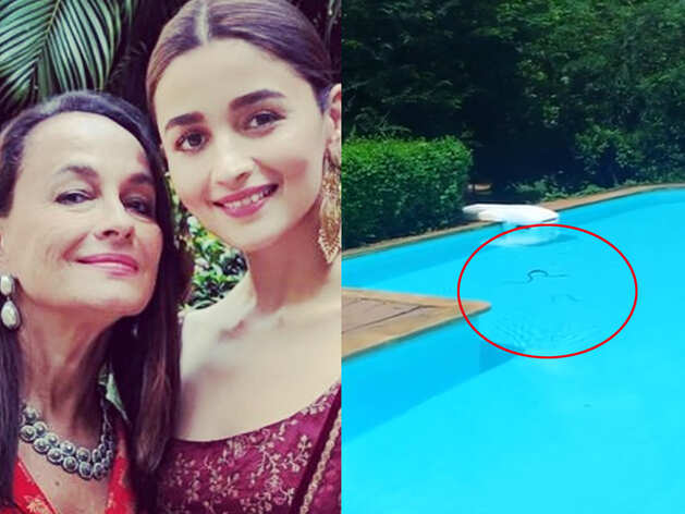Soni Razdan posted videos of a snake Soni Razdan posted videos of a snake