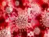 Coronavirus Latest Update In India : 14 नहीं, बल्कि इतने दिनों तक शरीर में रह सकता है कोरोना वायरस का संक्रमण 