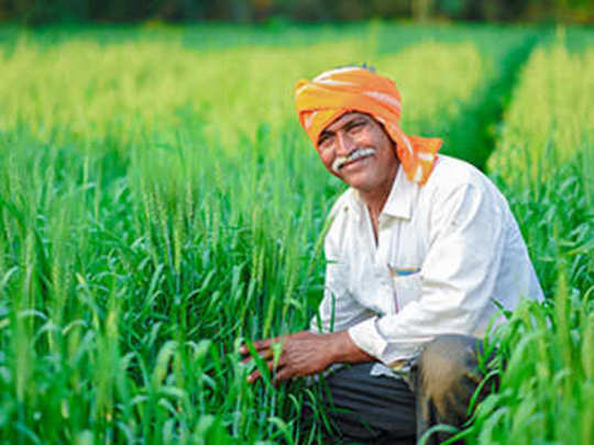 Farmers verification under PM kisan samman Nidhi scheme: पीएम किसान सम्मान निधि स्कीम के तहत किसानों का वेरिफिकेशन - Navbharat Times