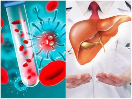 இரத்த பரிசோதனை செய்தே கல்லீரல் பாதிப்பை கண்டுபிடிக்க முடியுமா? முடியாதா? உண்மை என்ன இரத்த பரிசோதனை செய்தே கல்லீரல் பாதிப்பை கண்டுபிடிக்க முடியுமா? முடியாதா? உண்மை என்ன
